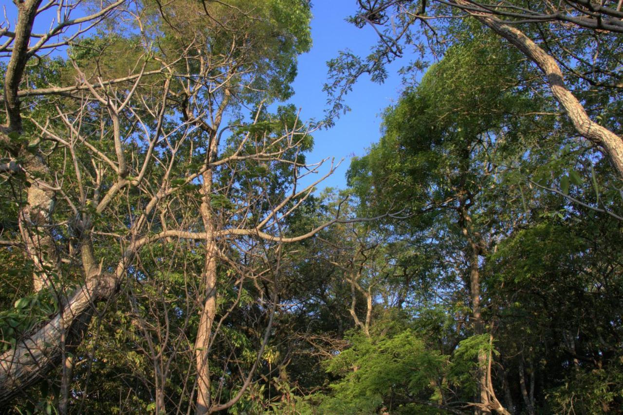Chapada dos Guimarães Casa Unica Com Piscina E Lareira A 1,2 Km Do Centroヴィラ エクステリア 写真